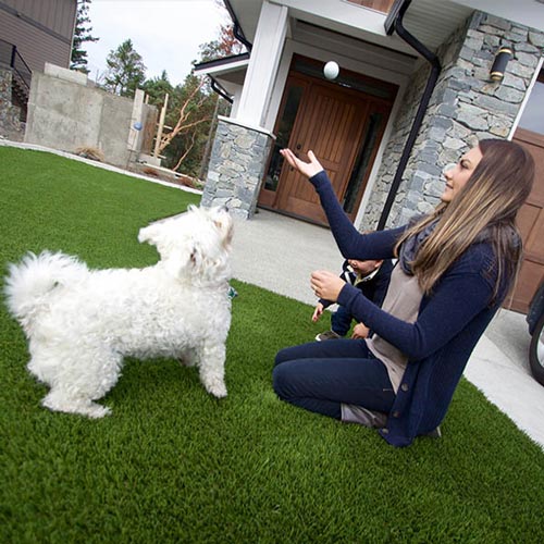 image of Pet friendly artificial grass for your furry friends available at SYNLawn Pacific Northwest